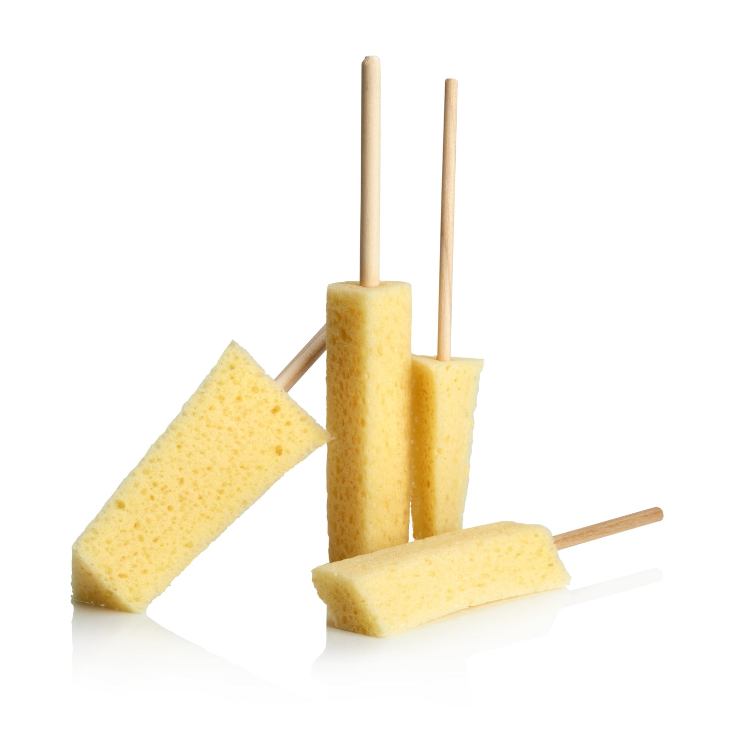 Sponge Guru - Precision Detailing Sponge Kit